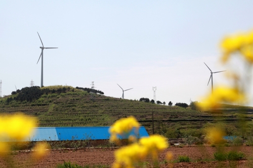 這是5月6日拍攝的山東威海中廣核風(fēng)電場(chǎng)。