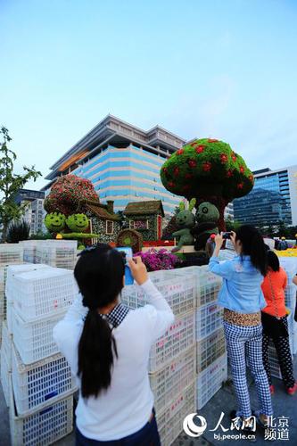 位于長安街沿線的“和諧家園”立體花壇尚未布置完畢，市民游客已在觀賞留影。