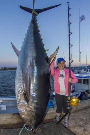 加拿大12歲女孩釣起280公斤巨型藍(lán)鰭金槍魚