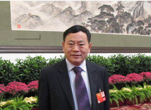 全國政協委員黃書元。資料圖