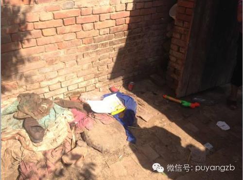 大門后面的墻角，就是小洪波一年四季的棲息地。