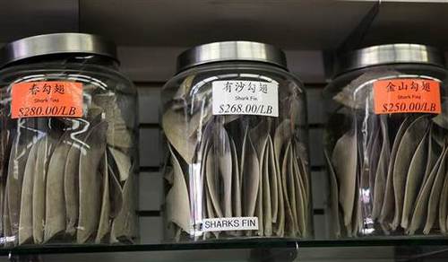 魚(yú)翅售價(jià)不菲，但用它做的湯往往作為地位的象征，出現(xiàn)在中國(guó)傳統(tǒng)婚宴上。