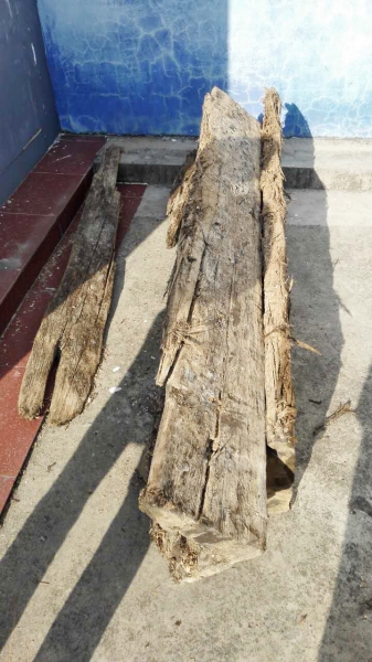 挖出的文物，金絲楠木棺材板。支羽 攝