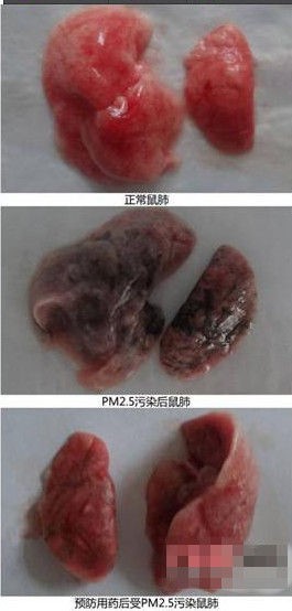 霧霾謠言大起底 你能識破多少個？