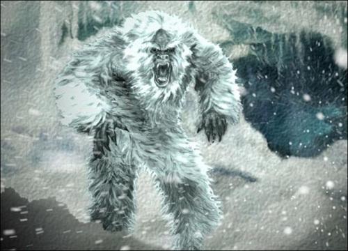 傳說中的喜馬拉雅“雪人”“夜帝”。