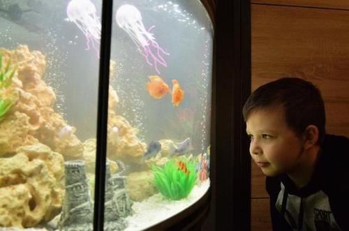 俄8歲男孩給普京寫(xiě)信 意外得到一箱觀賞魚(yú)(圖)