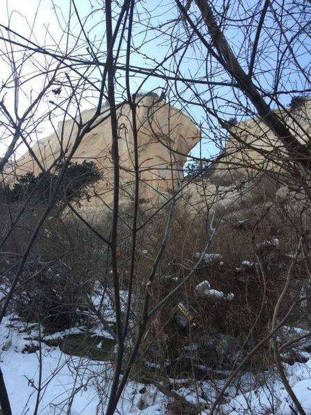 在發(fā)現(xiàn)朱賢峰遺體的位置，朱賢峰表哥王先生用手機朝上拍了一張照片。