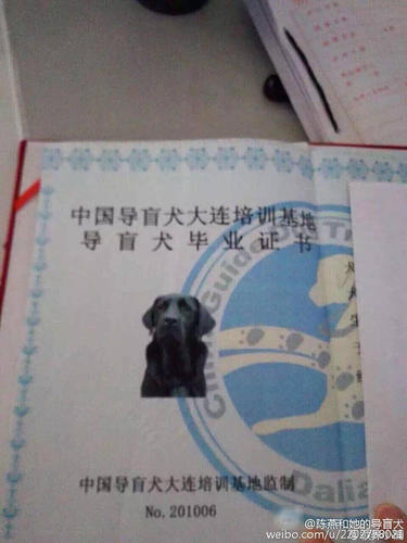 記者獲悉，公安部門正在全力調(diào)查中。圖為喬喬的畢業(yè)證。