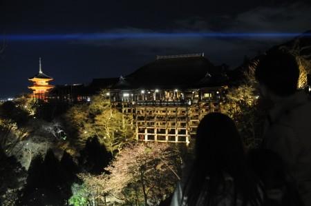 日本京都市的清水寺在春季夜間特別參觀正式開(kāi)始之前進(jìn)行試亮燈，剛剛開(kāi)放的櫻花與“清水舞臺(tái)”一同浮現(xiàn)在春天的夜色之中。