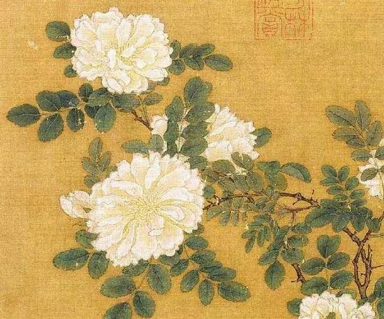 《白薔薇圖頁》 宋，馬遠，絹本設色，26.2cm×25.8cm