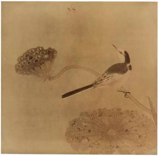 《疏荷沙鳥圖頁》 宋，絹本設色，縱25cm，橫25.6cm