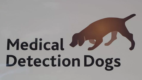 黛西的主人克萊爾-蓋斯特博士是“醫(yī)療偵測犬”（Medical Detection Dogs）組織的主管，該組織是進(jìn)行犬類助診疾病研究的慈善團(tuán)體，其研究具有十分寶貴的醫(yī)學(xué)價(jià)值。