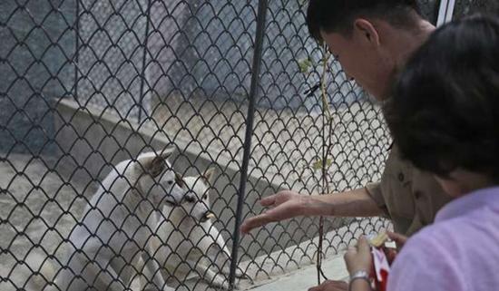 朝鮮平壤動(dòng)物園里啥模樣？“狗屋”是最熱門景點(diǎn)