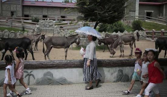 朝鮮平壤動(dòng)物園里啥模樣？“狗屋”是最熱門景點(diǎn)