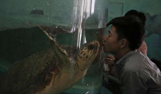 朝鮮平壤動(dòng)物園里啥模樣？“狗屋”是最熱門景點(diǎn)