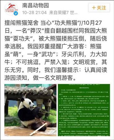 南昌動物園補(bǔ)充道，該男子逃離后未向園方反映情況，動物園檢查之后確認(rèn)美靈沒有受傷或受到驚嚇。