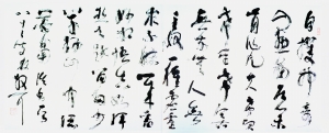林散之書(shū)于1980年的草書(shū)橫幅