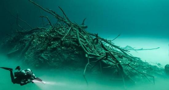 英國攝影師潛水時(shí)捕捉到神奇“水下湖”