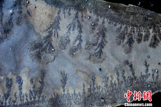 圖為條紋狀般有序排列、顏色兩頭深中間淺的“巖畫”?！￡惐躺z