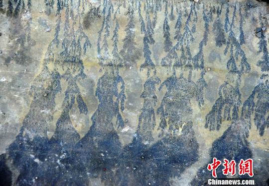 圖為酉陽發(fā)現(xiàn)疑似天然“巖畫”。　陳碧生 攝