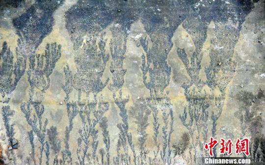 圖為酉陽發(fā)現(xiàn)疑似天然“巖畫”。　陳碧生 攝-1
