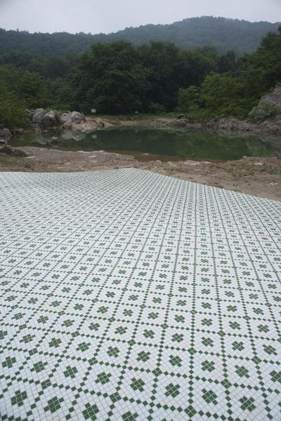 王衛(wèi)，山中自然史四，地面馬賽克，2016