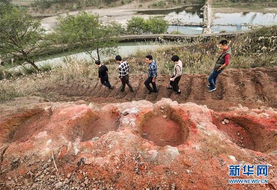 文物工作者走過陡嶺下遺址上一處保存較為完整的焙燒臺（11月17日攝）。