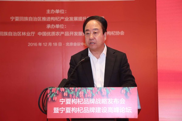 寧夏回族自治區(qū)區(qū)委常委、政府副主席李銳發(fā)言