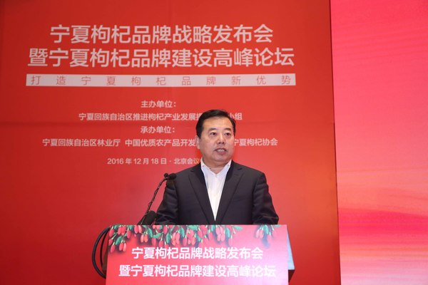 寧夏回族自治區(qū)人民政府副秘書長 大會(huì)主持人 王凌