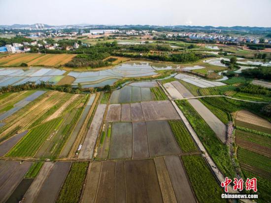 資料圖 航拍廣西柳州市柳北區(qū)沙塘鎮(zhèn)耕地，五彩繽紛。 黃威銘 攝