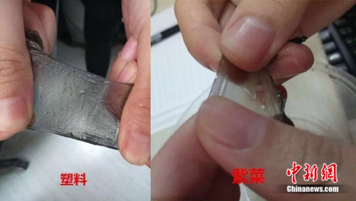 真紫菜泡水后吸收水分，光滑，而塑料薄膜不吸水，不光滑。制圖：<a target='_blank' href='http://www.chinanews.com/' >中新網(wǎng)</a> 邱宇