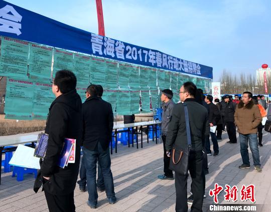圖為應(yīng)聘者在尋找著適合自己崗位的單位?！O睿 攝