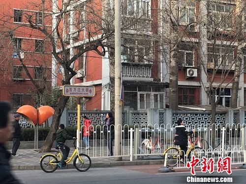 在北京街頭，孩子使用共享單車，無監(jiān)護(hù)人跟隨。湯琪 攝