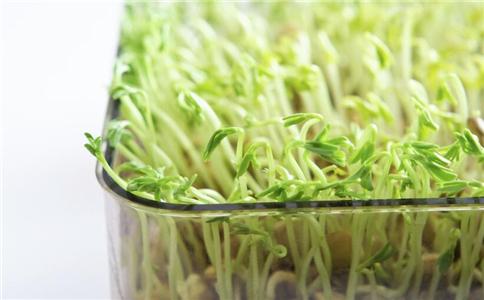 開春如何護(hù)肝 護(hù)肝吃什么 哪些食物能護(hù)肝