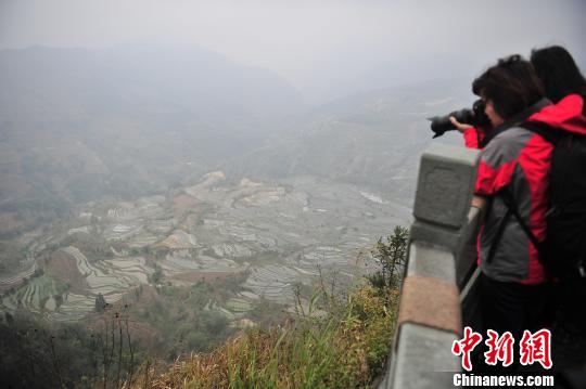 游客在哈尼梯田景區(qū)拍照?！⑷疥?攝