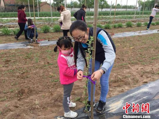 熊家廟辦事處女干部張海艷在春季農(nóng)業(yè)生產(chǎn)時帶著孩子幫助農(nóng)民為新栽樹苗定枝?！『钪拘?攝