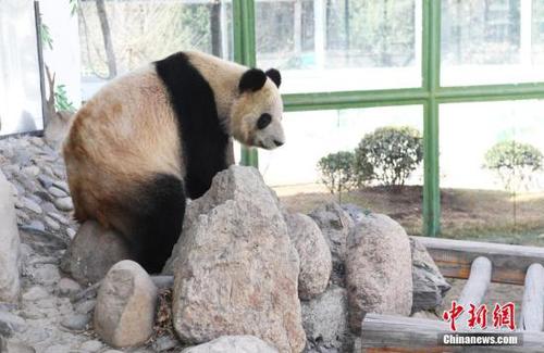 點(diǎn)擊進(jìn)入下一頁(yè)