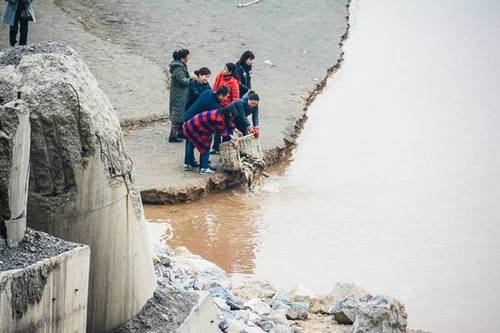 圖為十多名市民從市場上買來鯉魚在放生。