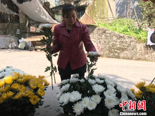 圖為市民挑選鮮花為祭掃做準(zhǔn)備?！＄婌?攝