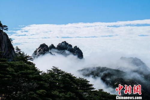  9日，安徽黃山風(fēng)景區(qū)經(jīng)過昨夜雷雨天氣的洗禮，云海、佛光等壯麗風(fēng)景展現(xiàn)在游客們的眼前。　李金剛 攝