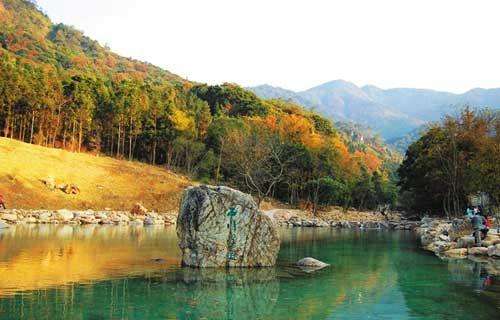廣東森林公園1351個全國最多2