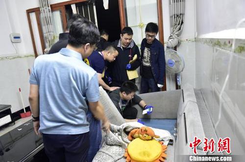 南京破獲特大網(wǎng)絡(luò)傳播淫穢案：查扣2萬多部色情視頻，付費觀眾數(shù)千人。　國武 攝
