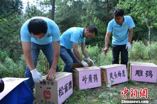 資料圖：云南省野生動(dòng)物收容拯救中心工作人員準(zhǔn)備放歸野生動(dòng)物?！∪螙| 攝