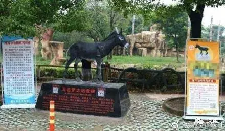 曾活驢喂虎的動物園涉9500萬經(jīng)濟(jì)糾紛 開庭無果