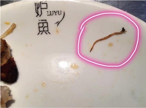 魚肉里吃出寄生蟲 餐廳負(fù)責(zé)人為證清白一口吞下