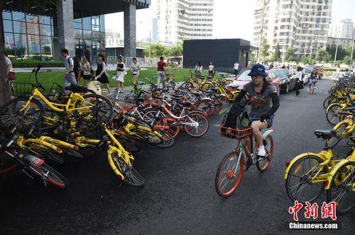 8月3日，北京街頭的共享單車。<a target='_blank' href='http://www.chinanews.com/'>中新社</a>記者 侯宇 攝