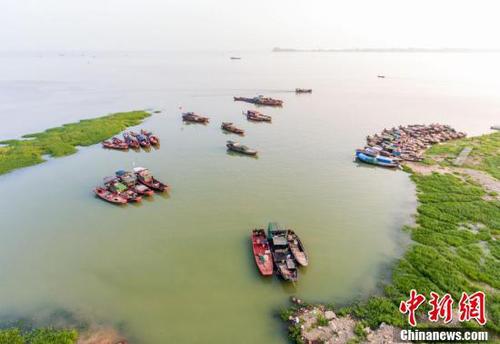 鄱陽湖5日起現(xiàn)今年首次長江水倒灌 利于漁業(yè)恢復(fù)