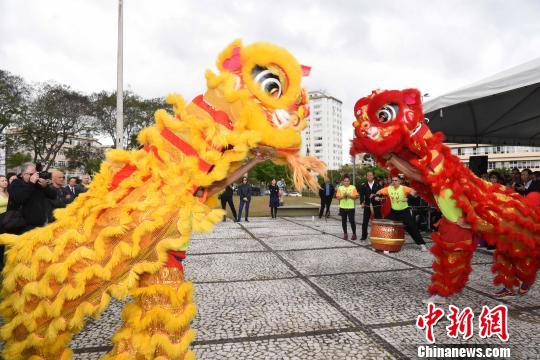 圖為圣保羅華星藝術(shù)團(tuán)表演精彩的舞獅，慶?！爸袊?guó)廣場(chǎng)”和孔子雕像揭幕。　莫成雄 攝