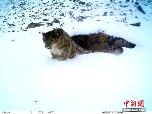 點(diǎn)擊進(jìn)入下一頁(yè)