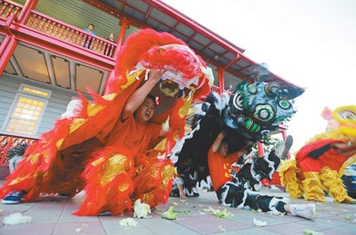 蘇里南首都帕拉馬里博，華裔民眾進(jìn)行舞獅表演，歡迎中國傳統(tǒng)春節(jié)到來。 　　人民視覺